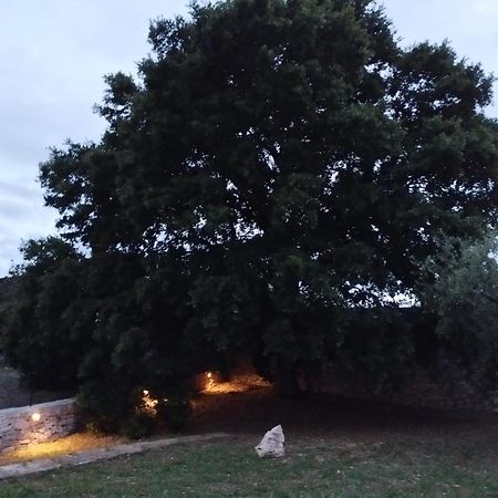 Villa Trulli La Quercia Del Nonno Locorotondo Esterno foto
